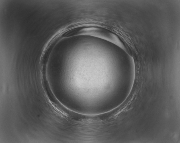 X0000084560197200702231241