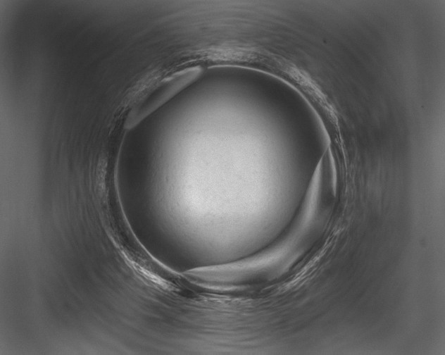 X0000084560201200702231241