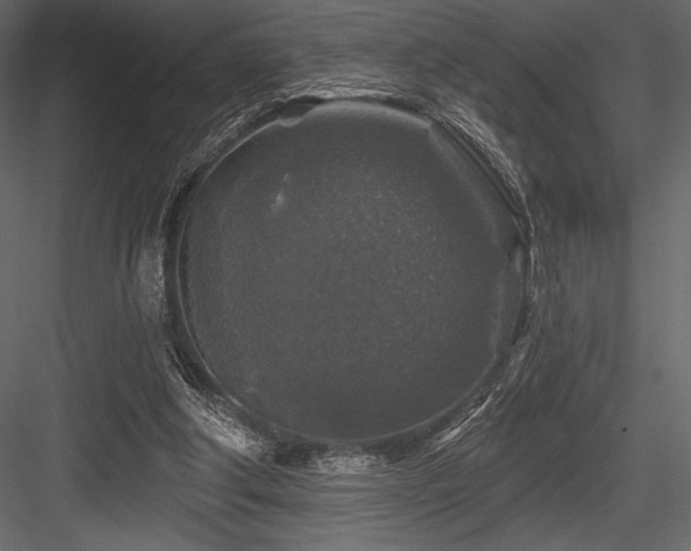 X0000084560202200702231241