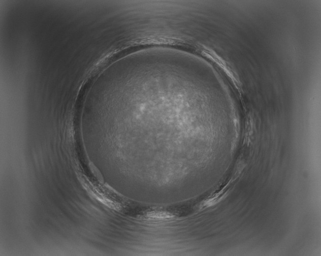 X0000084560203200702231241