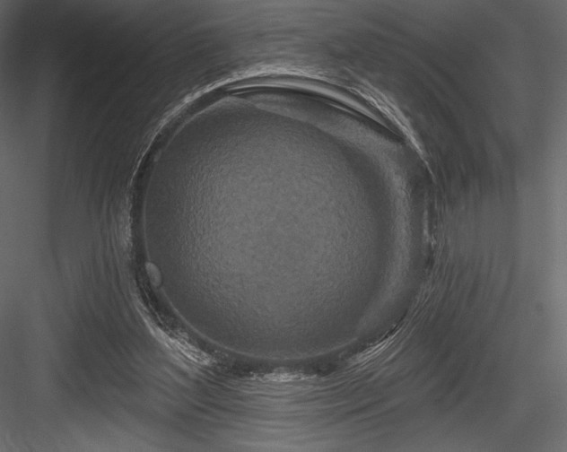 X0000084560204200702231241