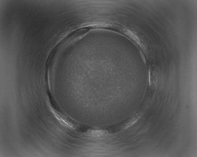 X0000084560205200702231241