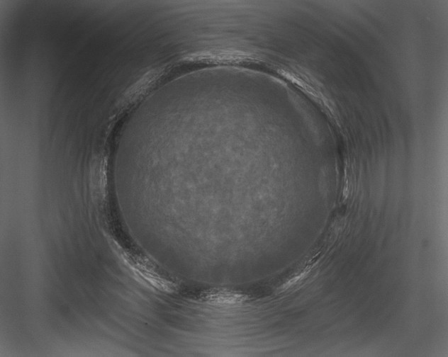 X0000084560206200702231241
