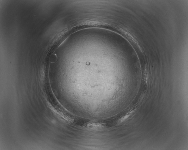 X0000084560208200702231241