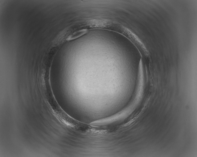 X0000084560209200702231241