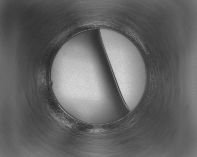 X0000084560212200702231241