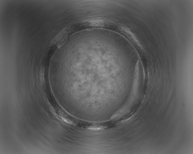 X0000084560213200702231241