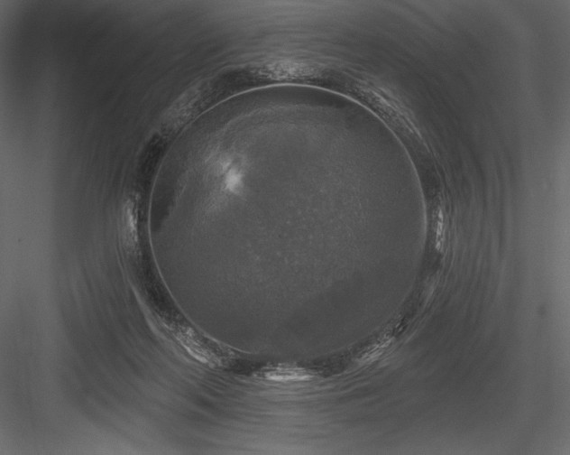 X0000084560214200702231241