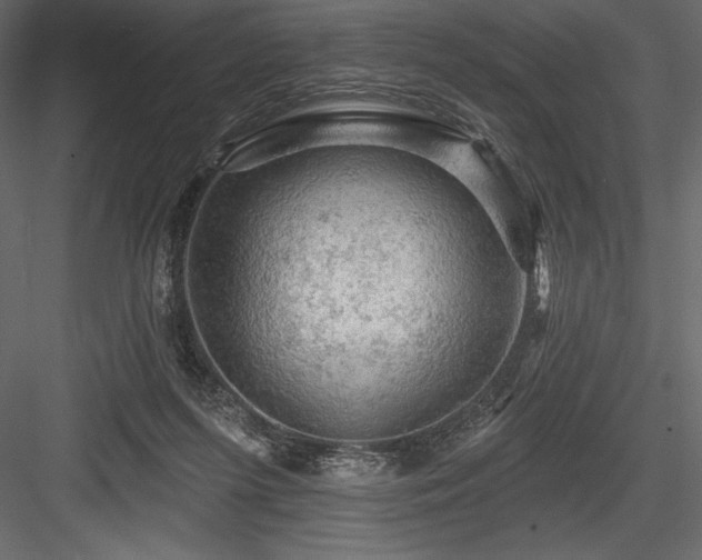 X0000084560215200702231241