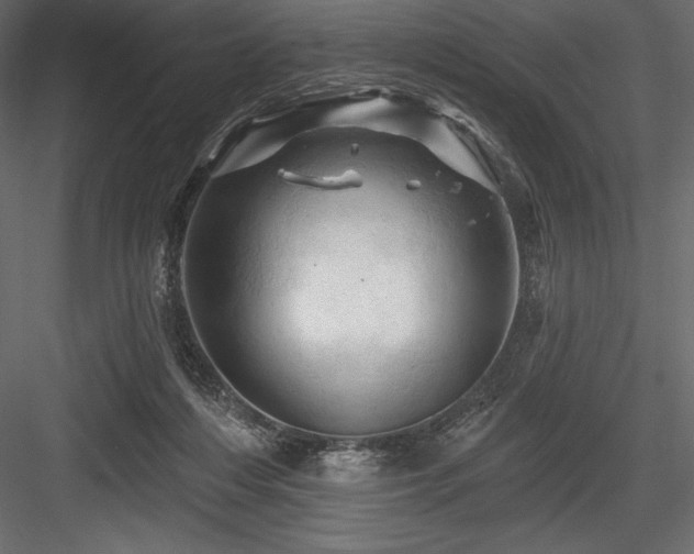 X0000084560216200702231241