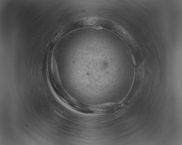 X0000084560217200702231241