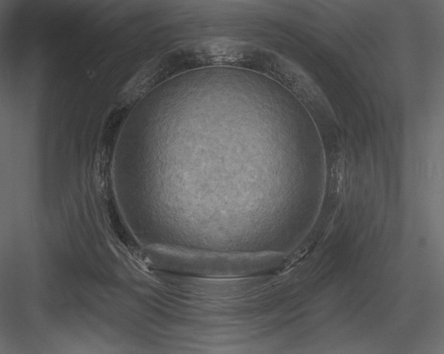X0000084560218200702231241