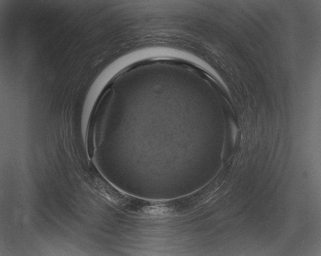 X0000084560219200702231241