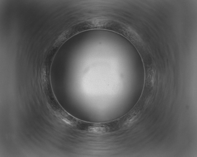 X0000084560220200702231241