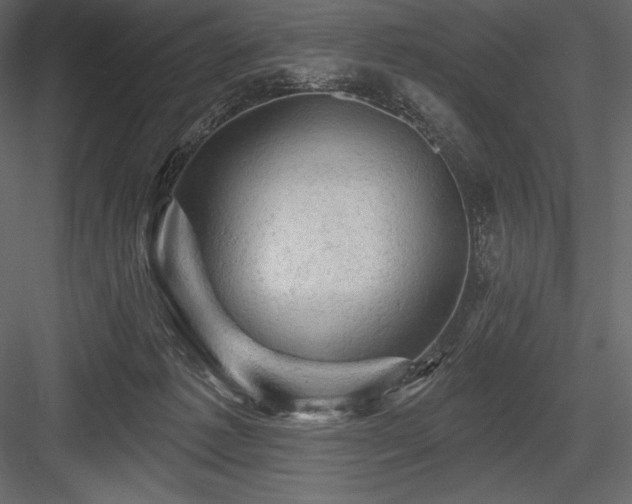 X0000084560221200702231241