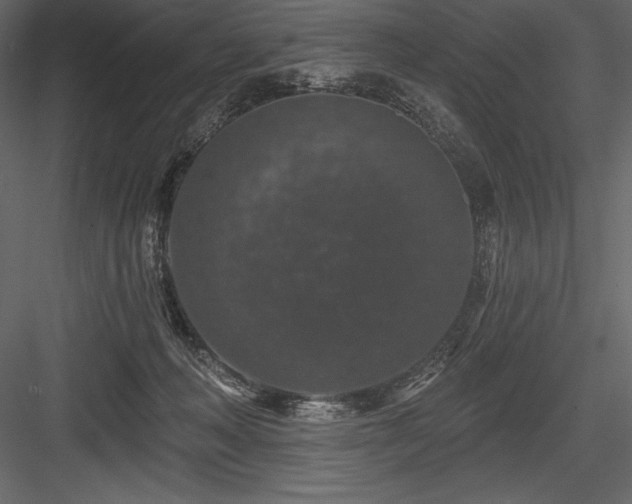 X0000084560222200702231241