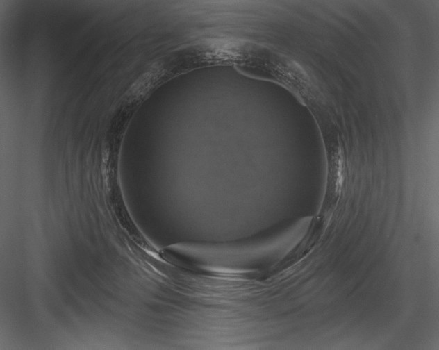 X0000084560223200702231241