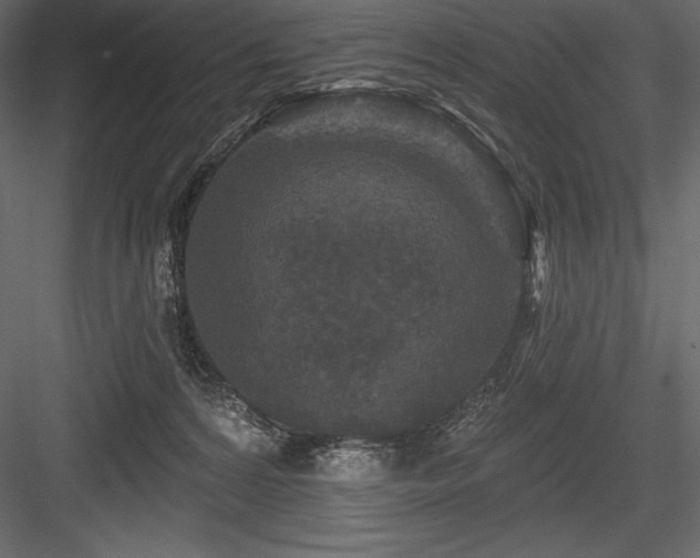 X0000084560224200702231241