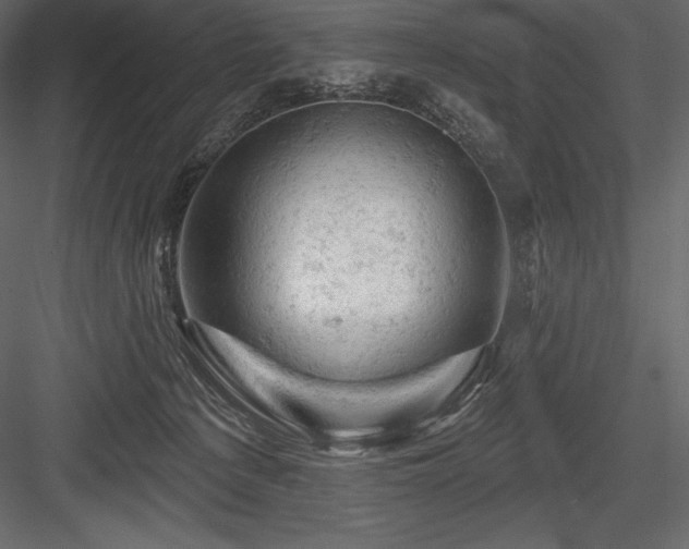 X0000084560225200702231241