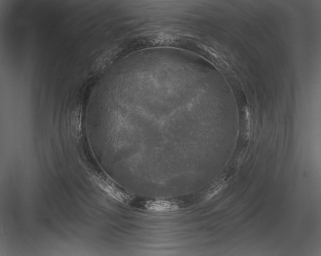 X0000084560230200702231240
