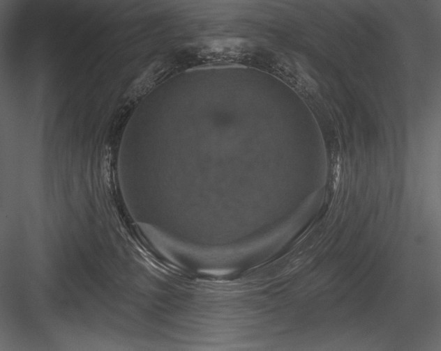 X0000084560231200702231240
