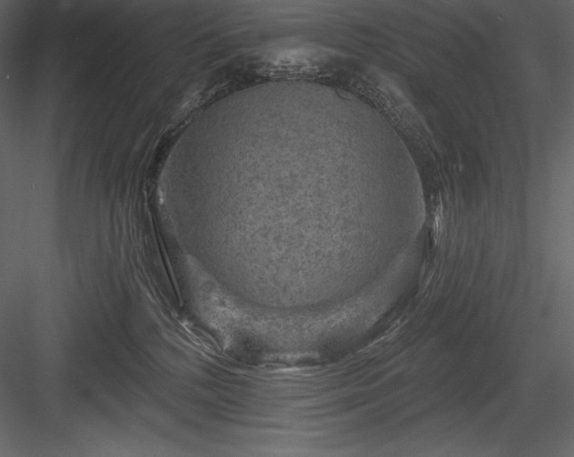 X0000084560232200702231240