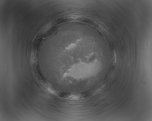 X0000084560236200702231240