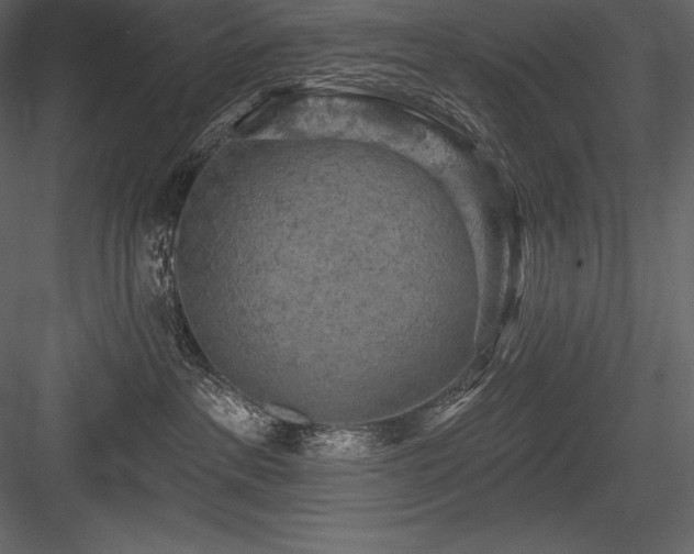 X0000084560237200702231240