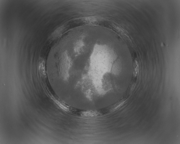 X0000084560238200702231240