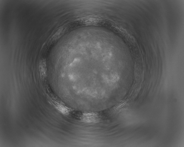 X0000084560240200702231240