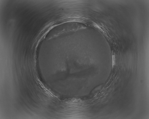 X0000084560243200702231239