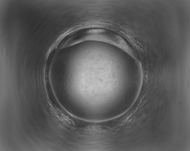 X0000084560244200702231239