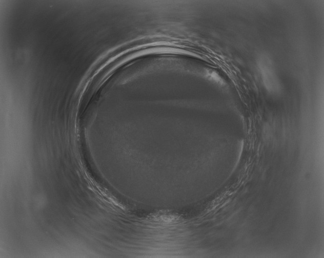 X0000084560247200702231240