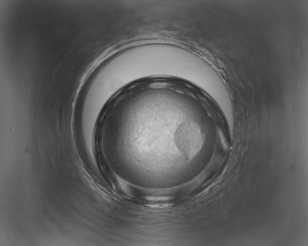 X0000084560248200702231240
