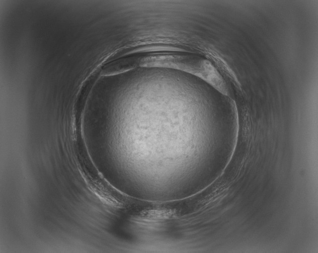 X0000084560251200702231240
