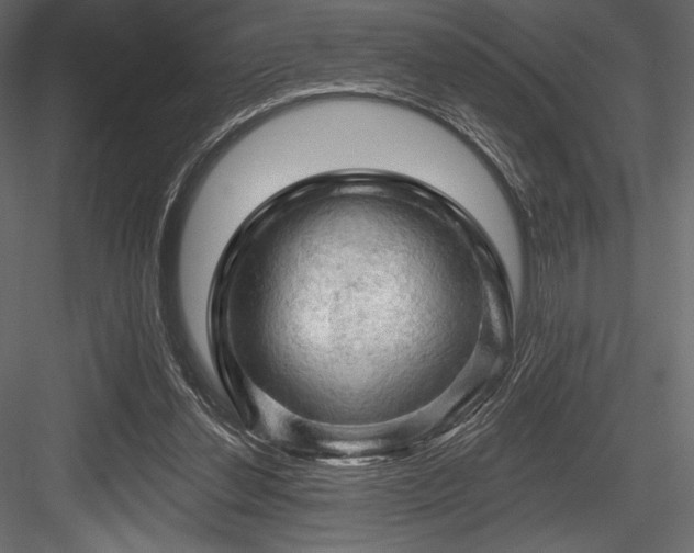 X0000084560252200702231240