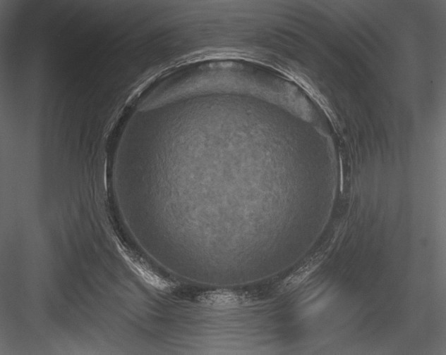 X0000084560253200702231240