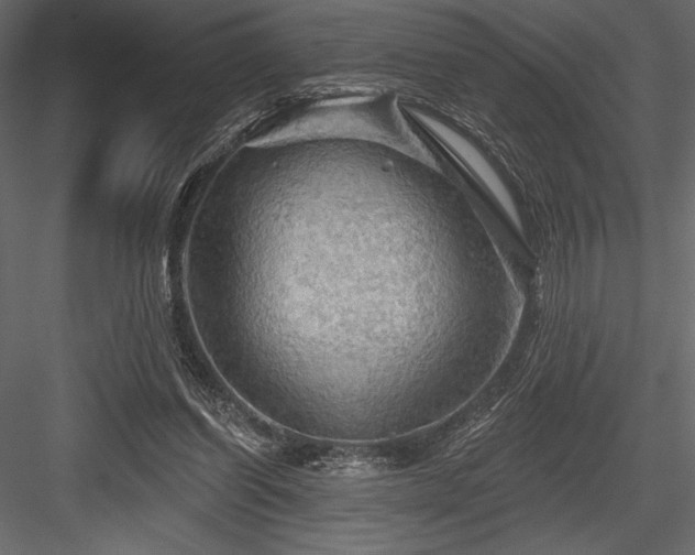 X0000084560254200702231240