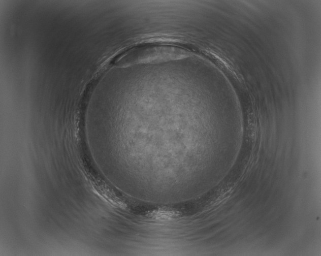 X0000084560255200702231240