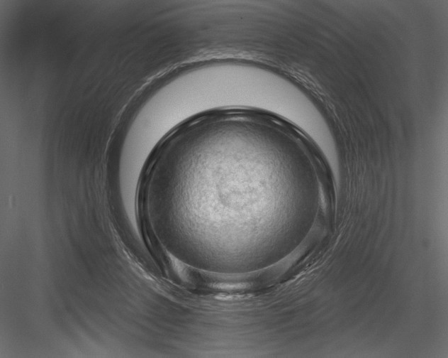 X0000084560256200702231240