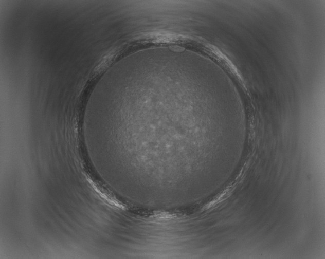 X0000084560257200702231240