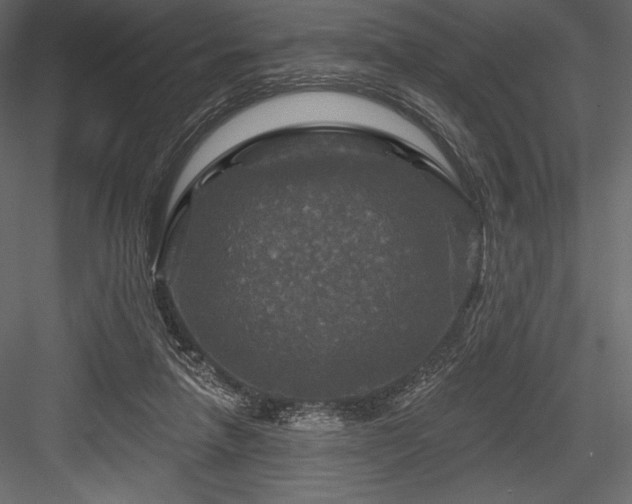 X0000084560258200702231240