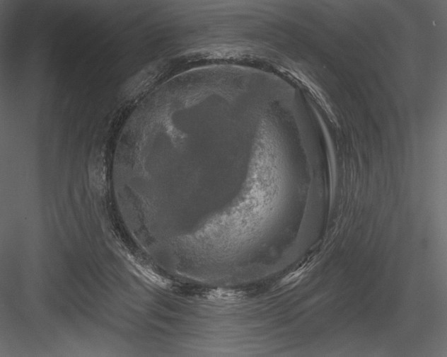 X0000084560261200702231240