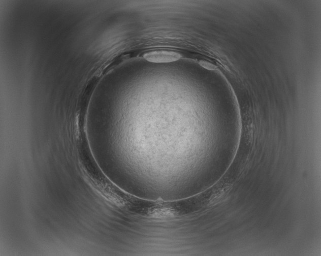 X0000084560262200702231240
