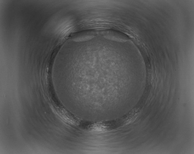X0000084560263200702231240