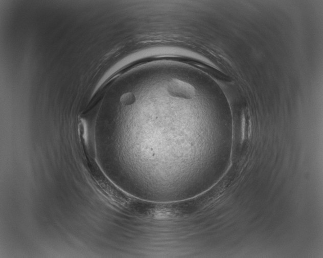 X0000084560264200702231240