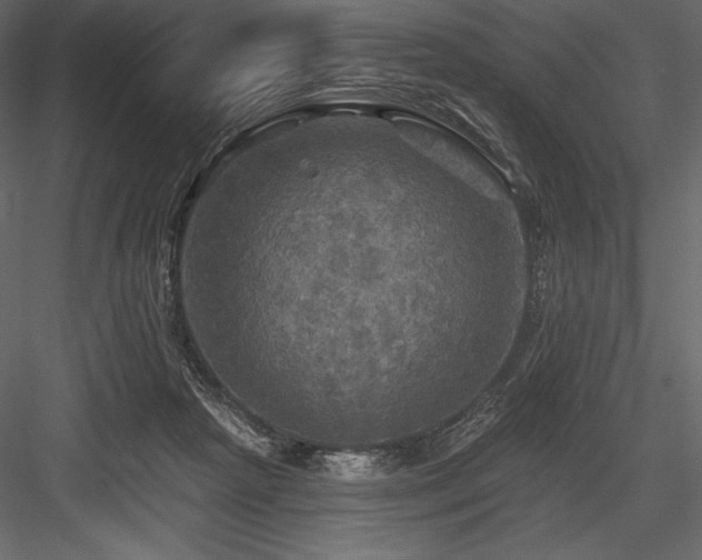 X0000084560265200702231240