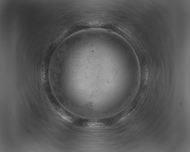 X0000084560268200702231240