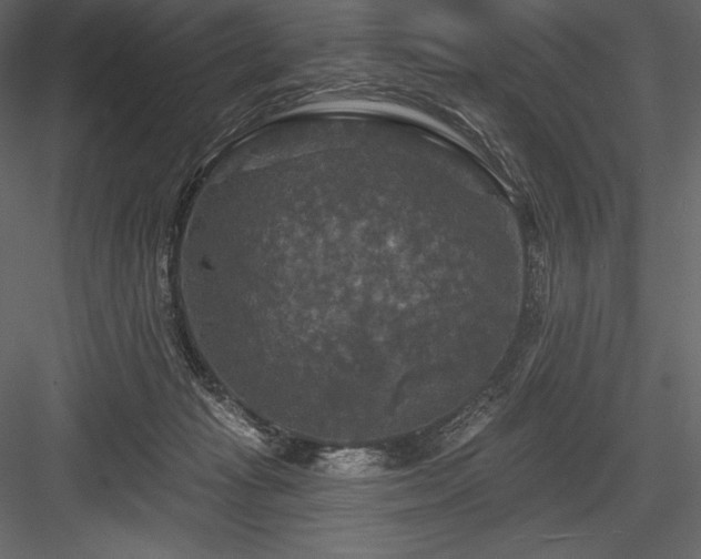 X0000084560269200702231240