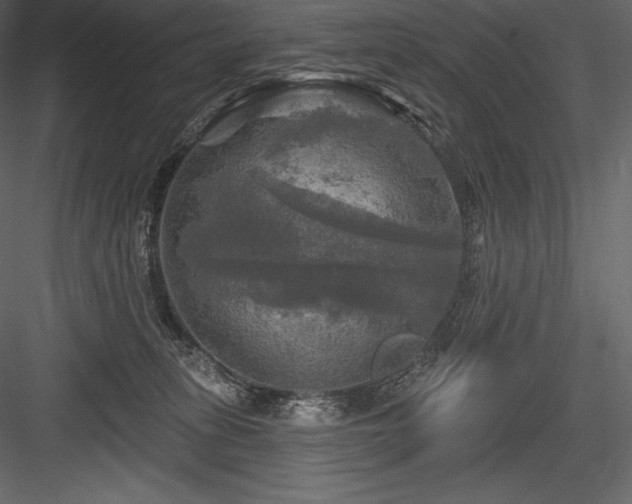 X0000084560275200702231240